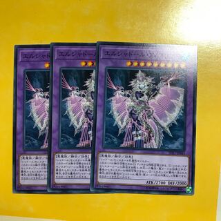 エルシャドール・アノマリリス