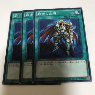 マドレース 戦士の生還 ノーマル