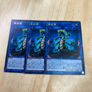 Agave Dragon Rare