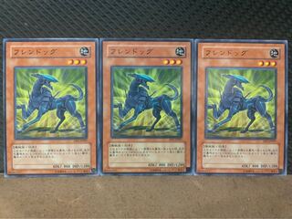 【ぽぽたん】遊戯王 10371 フレンドッグ 3枚 ノーマル