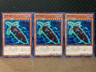 Popotan] Yu-Gi-Oh! 10374 Predaplant Banksiogre 3 sheets Normal
