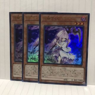 浮幽さくら　ウルトラ　3枚　マホ子