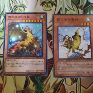 霞の谷の巨神鳥 霧の谷の雷鳥