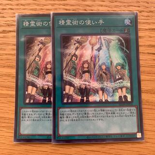 精霊術の使い手