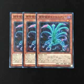 e218 捕食植物セラセニアント 3枚セット 遊戯王 トレトレ