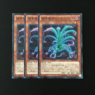 e219 捕食植物セラセニアント 3枚セット 遊戯王 トレトレ