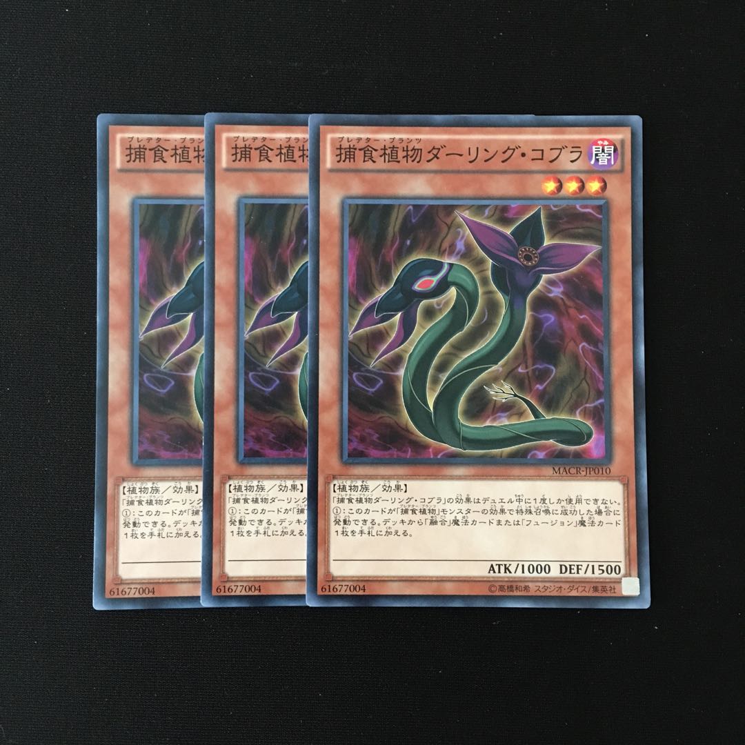e230 捕食植物ダーリング・コブラ 3枚セット 遊戯王 トレトレ