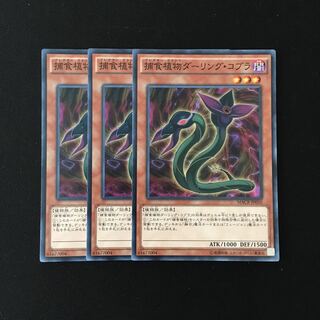 e230 捕食植物ダーリング・コブラ 3枚セット 遊戯王 トレトレ