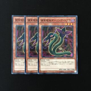 e231 捕食植物ダーリング・コブラ 3枚セット 遊戯王 トレトレ