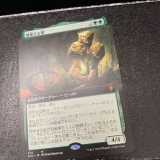 【MTG】探索する獣／日本語版