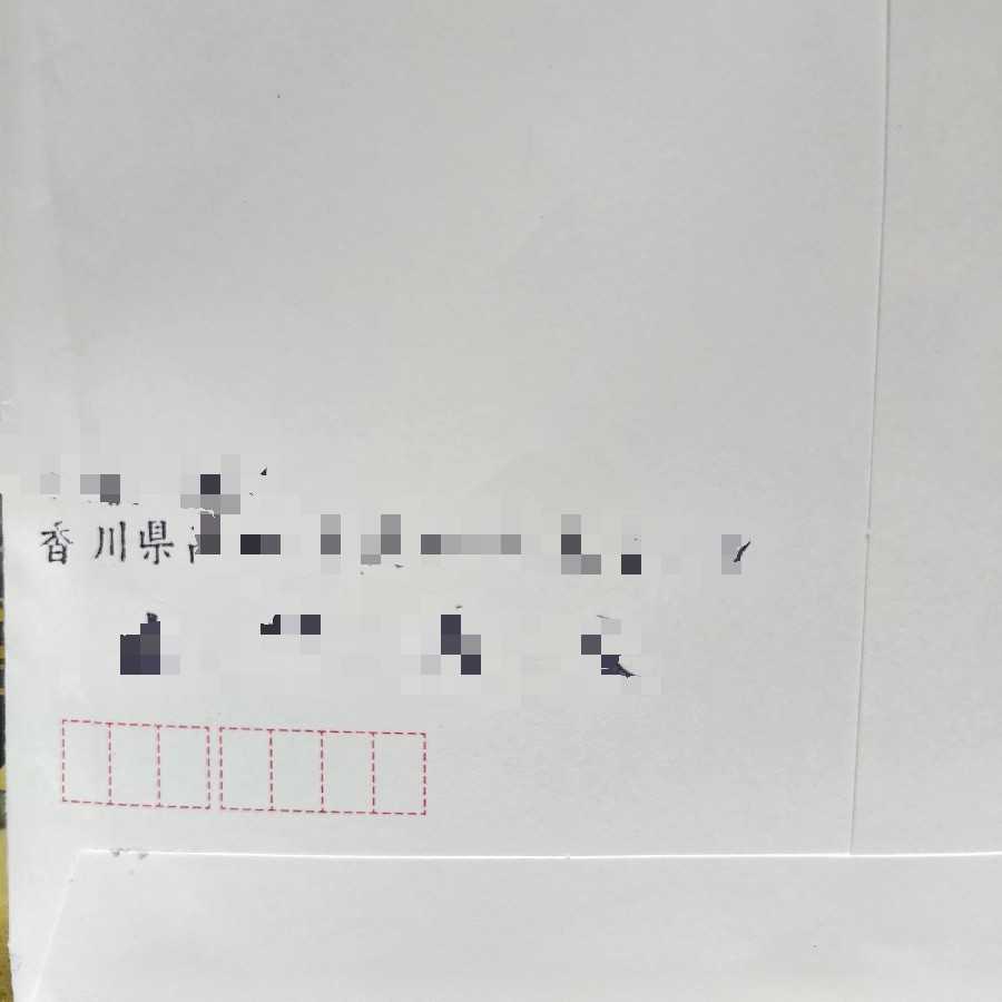 空翔る竜様 商品確認用