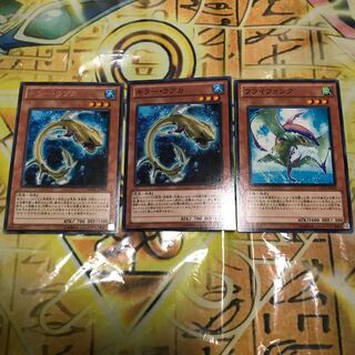 キラー・ラブカ　フライファング