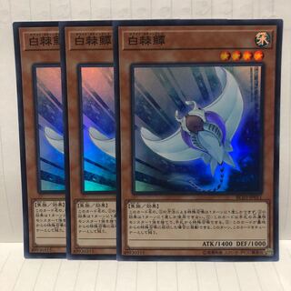 ホワイト・スティングレイ スーパー　3枚　マホ子