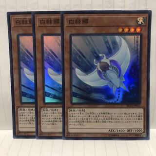 ホワイト・スティングレイ スーパー　3枚　マホ子