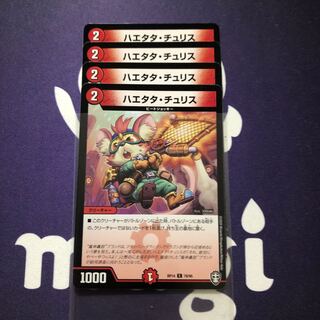 ハエタタ・チュリス