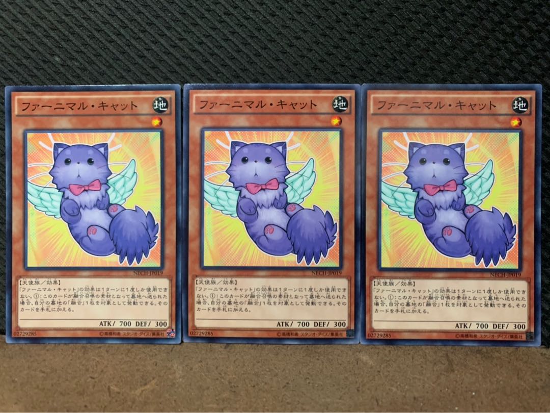 【ぽぽたん】遊戯王 10362 ファーニマル・キャット 3枚 ノーマル