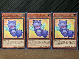 【ぽぽたん】遊戯王 10362 ファーニマル・キャット 3枚 ノーマル