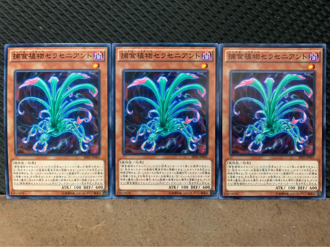 【ぽぽたん】遊戯王 10381 捕食植物セラセニアント 3枚 ノーマル