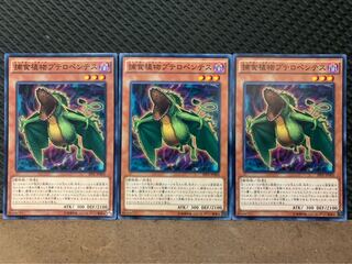 【ぽぽたん】遊戯王 10365 捕食植物プテロペンテス 3枚 ノーマル