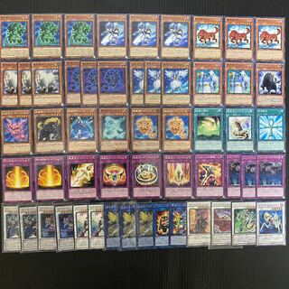 極星デッキ　No.20  遊戯王