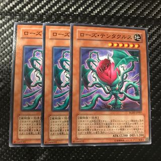 ローズ・テンタクルス ノーマル