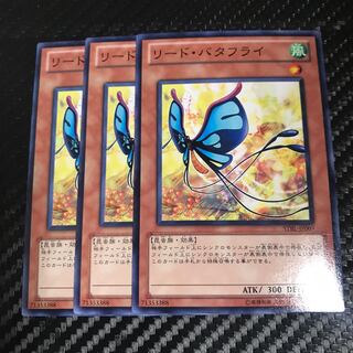 リード・バタフライ ノーマル