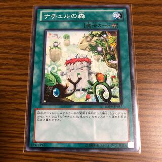 ナチュルの森 ノーマル