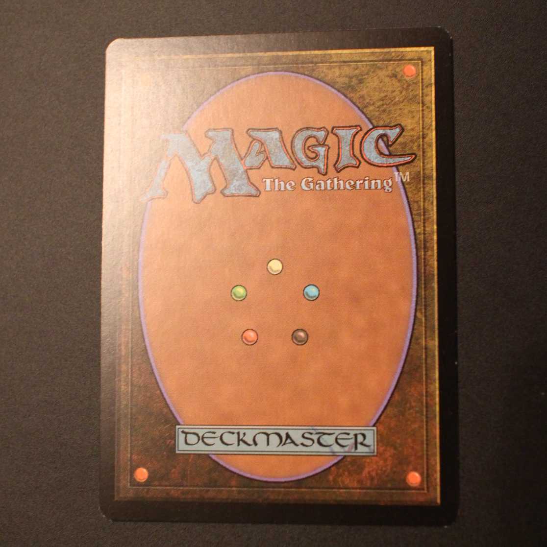 ZEN【湿地の干潟】日本語 Foil