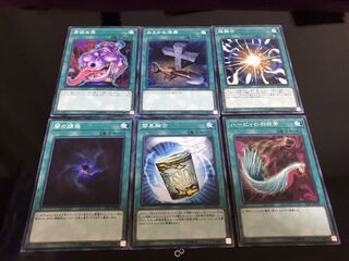 ハーピィの羽根帚等 汎用ノーマル ６枚 セット