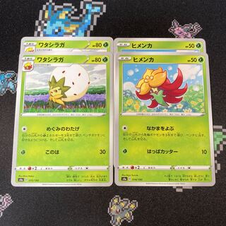 ヒメンカ 2枚 ワタシラガ 2枚 セット