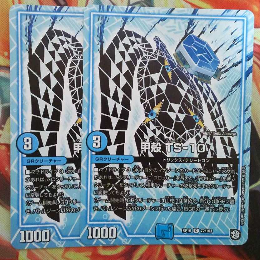 甲殻 TS-10 二枚セット