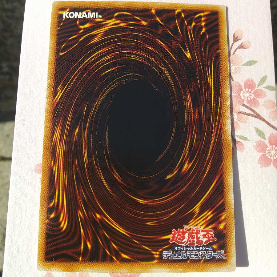 白龍の聖騎士　パラレルシークレット 1枚