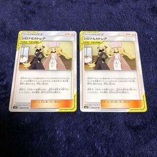シロナ&カトレア2枚セット