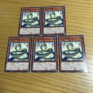 弾帯城壁龍 ノーマル　5枚セット