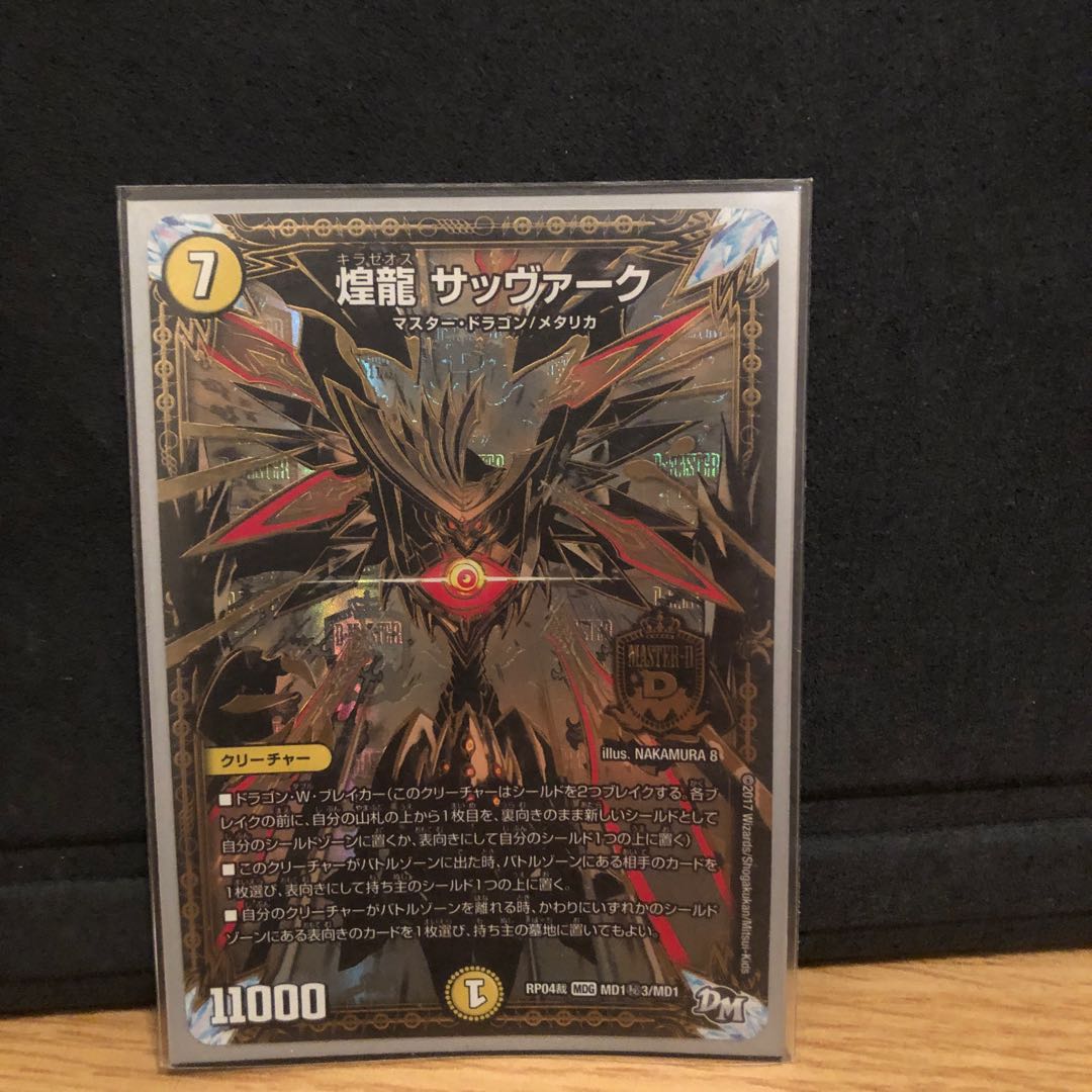 煌龍 サッヴァーク