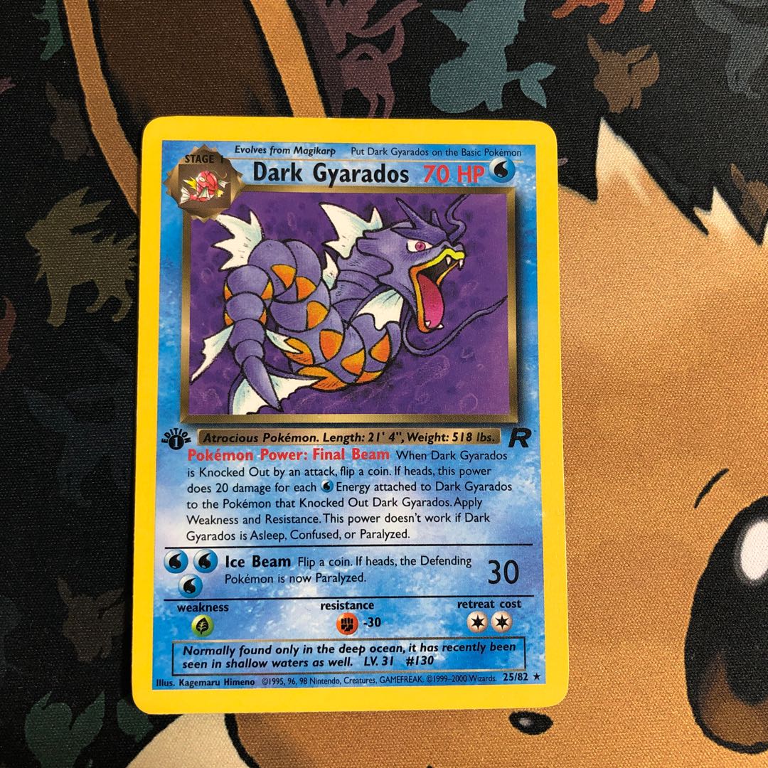 わるいギャラドス　英語