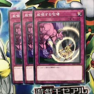 威嚇する咆哮　3枚