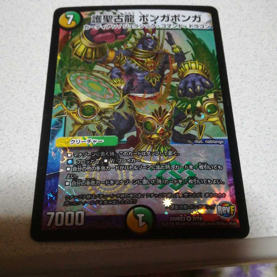 準良品 護聖古龍 ボンガボンガ VR