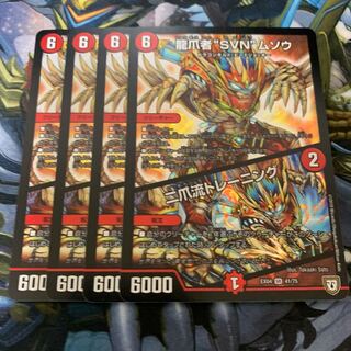 龍爪者“SVN”ムソウ｜二爪流トレーニング