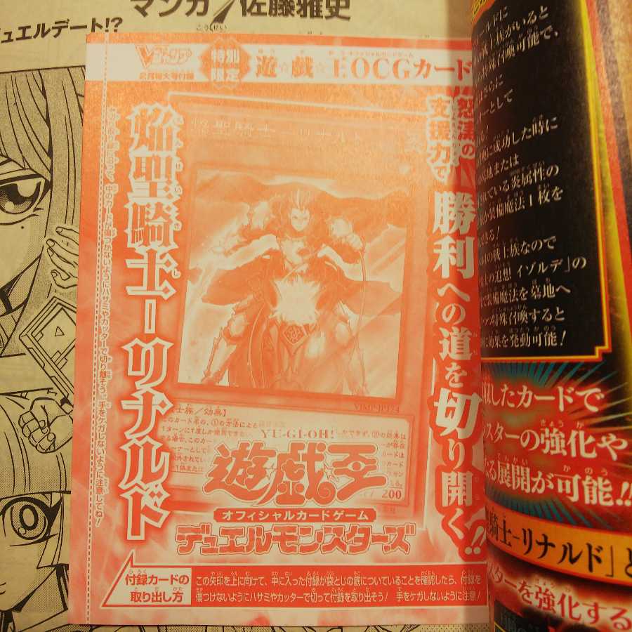 焔聖騎士-リナルド