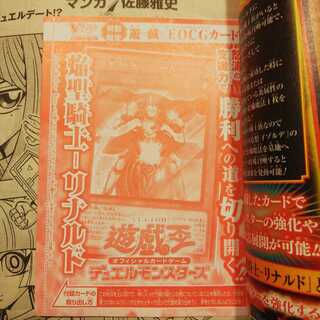 焔聖騎士-リナルド