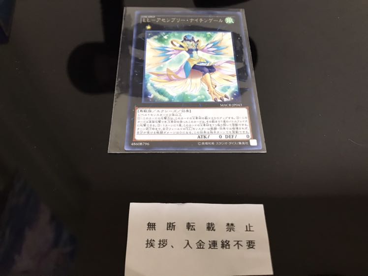 LL-アセンブリー・ナイチンゲール