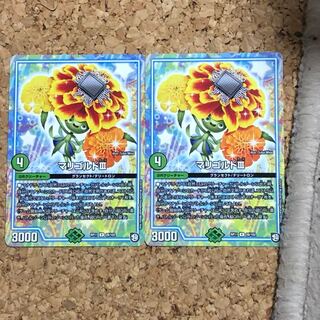 マリゴルド 1枚