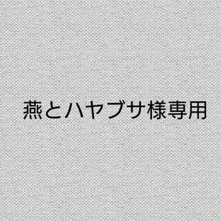 燕とハヤブサ様専用 1枚