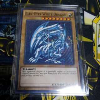 WCS2015 ブルーアイズホワイトドラゴン