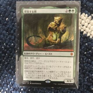 mtg 探索する獣