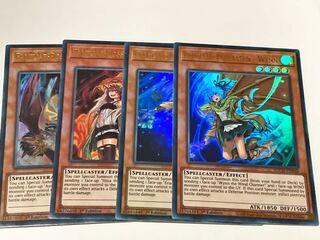 憑依装着　絵違い　英語版　EU版　セット