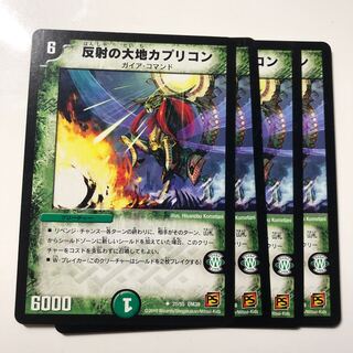 反射の大地カプリコン