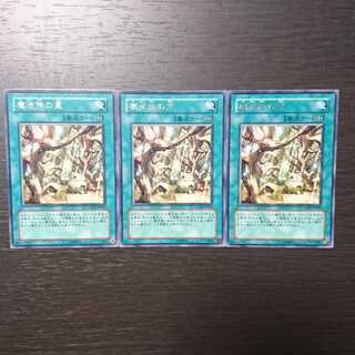 魔法族の里 レア