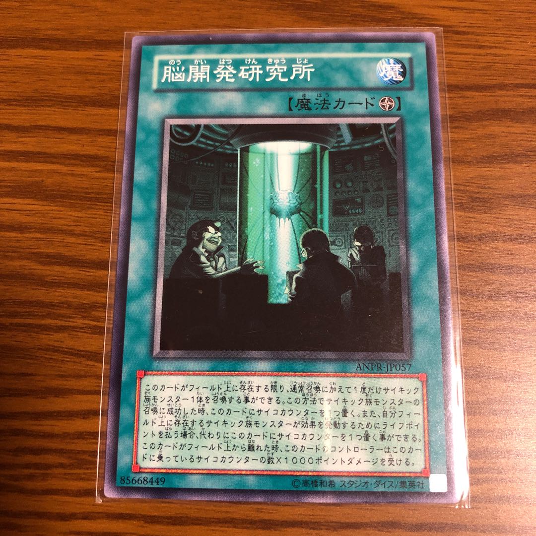 脳開発研究所 ノーマル